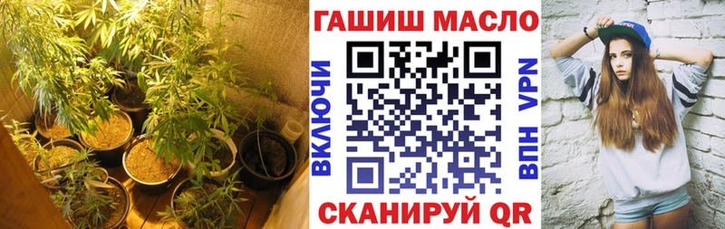 Дистиллят ТГК THC oil  как найти закладки  Улан-Удэ 
