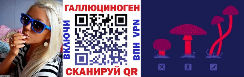 Галлюциногенные грибы Psilocybe  Улан-Удэ 